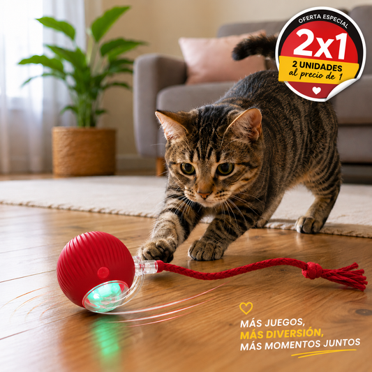 Pelota Interactiva para Gatos